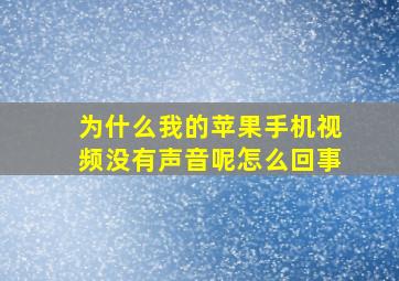 为什么我的苹果手机视频没有声音呢怎么回事