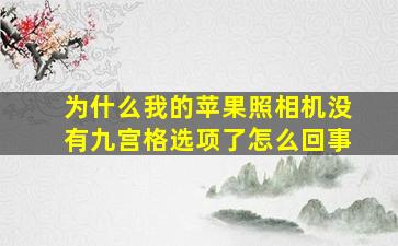 为什么我的苹果照相机没有九宫格选项了怎么回事