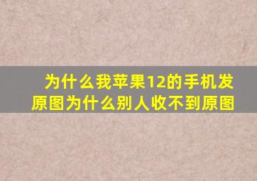 为什么我苹果12的手机发原图为什么别人收不到原图