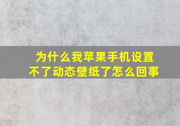 为什么我苹果手机设置不了动态壁纸了怎么回事