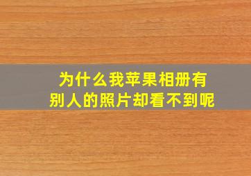 为什么我苹果相册有别人的照片却看不到呢