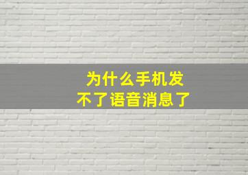 为什么手机发不了语音消息了