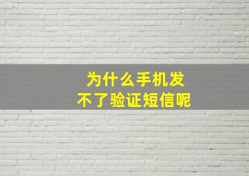 为什么手机发不了验证短信呢