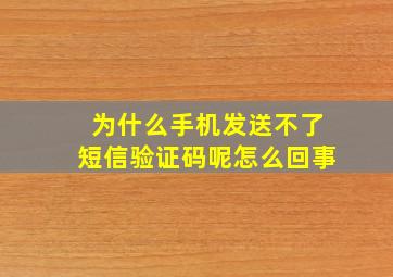 为什么手机发送不了短信验证码呢怎么回事