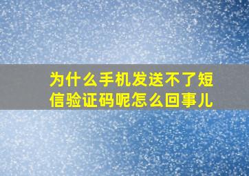 为什么手机发送不了短信验证码呢怎么回事儿