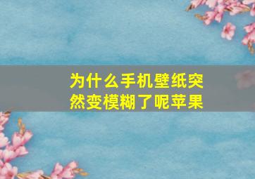 为什么手机壁纸突然变模糊了呢苹果