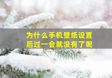 为什么手机壁纸设置后过一会就没有了呢