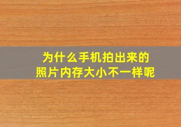 为什么手机拍出来的照片内存大小不一样呢