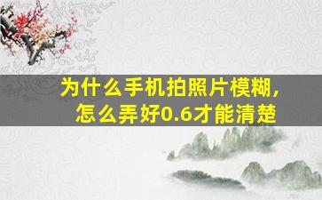 为什么手机拍照片模糊,怎么弄好0.6才能清楚