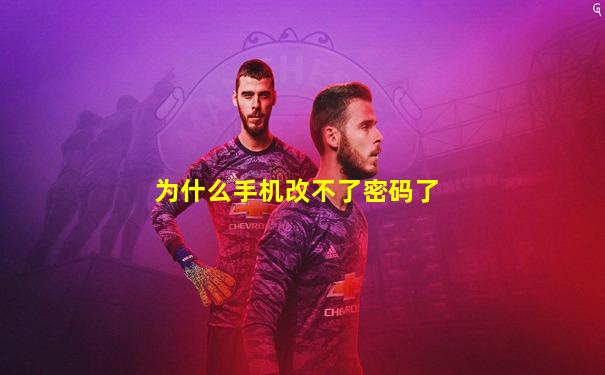 为什么手机改不了密码了