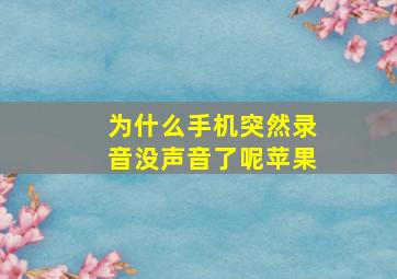 为什么手机突然录音没声音了呢苹果