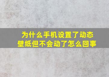 为什么手机设置了动态壁纸但不会动了怎么回事