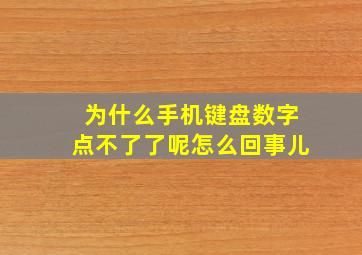 为什么手机键盘数字点不了了呢怎么回事儿