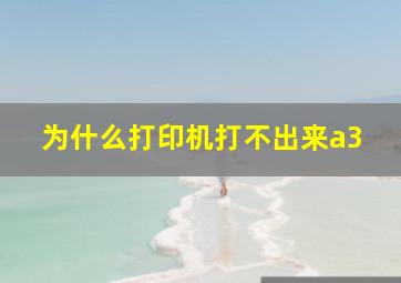 为什么打印机打不出来a3