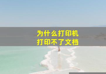 为什么打印机打印不了文档