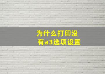 为什么打印没有a3选项设置