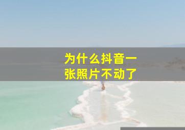 为什么抖音一张照片不动了