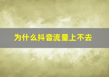 为什么抖音流量上不去