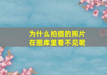 为什么拍摄的照片在图库里看不见呢