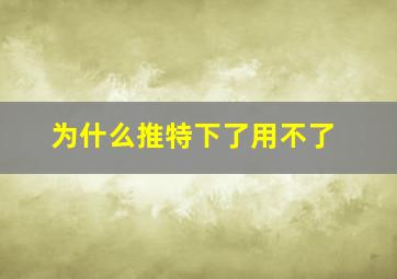 为什么推特下了用不了