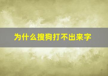 为什么搜狗打不出来字