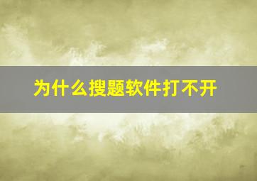 为什么搜题软件打不开