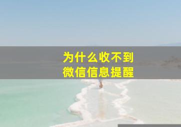 为什么收不到微信信息提醒