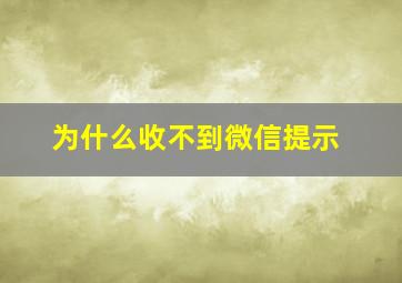 为什么收不到微信提示