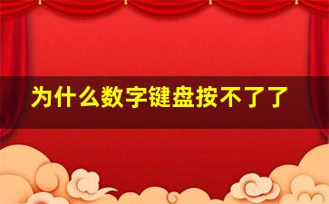 为什么数字键盘按不了了