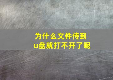 为什么文件传到u盘就打不开了呢