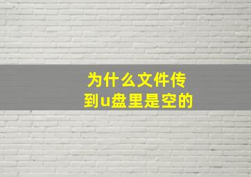 为什么文件传到u盘里是空的