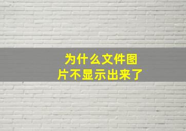 为什么文件图片不显示出来了