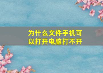 为什么文件手机可以打开电脑打不开