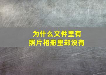 为什么文件里有照片相册里却没有