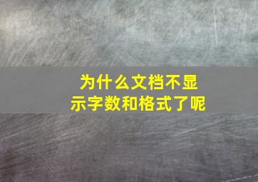 为什么文档不显示字数和格式了呢