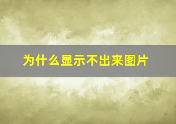 为什么显示不出来图片