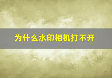 为什么水印相机打不开