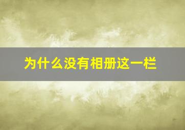 为什么没有相册这一栏