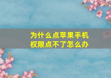 为什么点苹果手机权限点不了怎么办