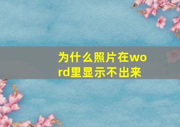 为什么照片在word里显示不出来