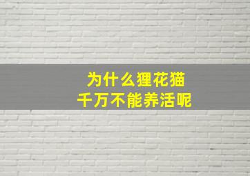 为什么狸花猫千万不能养活呢