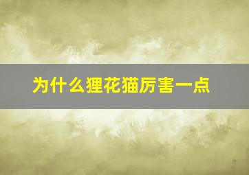 为什么狸花猫厉害一点