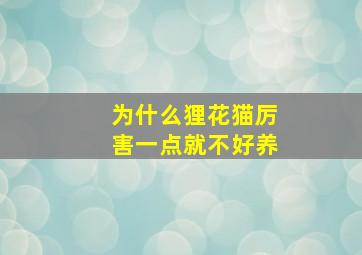 为什么狸花猫厉害一点就不好养