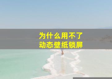 为什么用不了动态壁纸锁屏