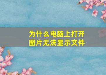 为什么电脑上打开图片无法显示文件