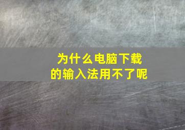 为什么电脑下载的输入法用不了呢