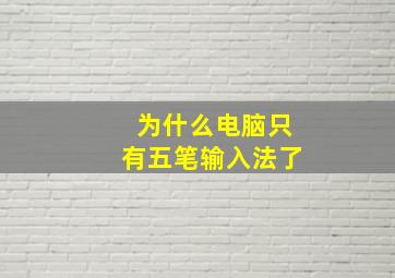 为什么电脑只有五笔输入法了