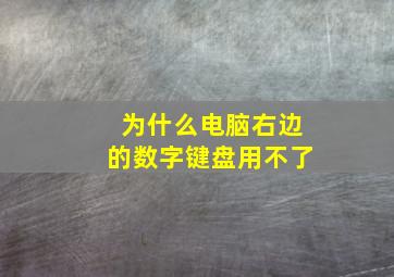 为什么电脑右边的数字键盘用不了