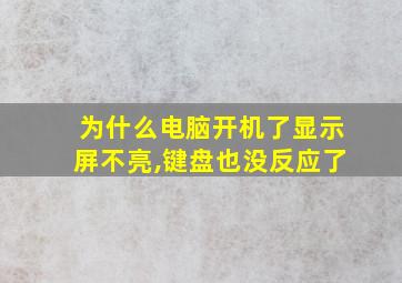 为什么电脑开机了显示屏不亮,键盘也没反应了