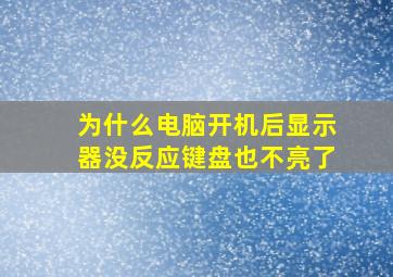 为什么电脑开机后显示器没反应键盘也不亮了